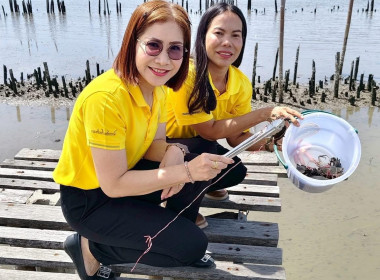 ร่วมกิจกรรมปล่อยพันธุ์ปูทะเล จำนวน 12,000 ตัว พารามิเตอร์รูปภาพ 7