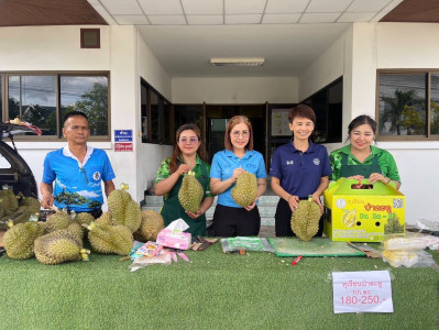 ย กระจายและ ประชาสัมพันธ์ การจำหน่ายทุเรียนป่าละอู (ทุเรียน ... พารามิเตอร์รูปภาพ 1