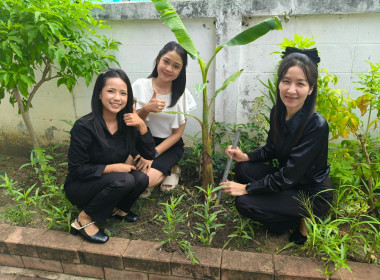 กิจกรรมวันรักต้นไม้ ประจำปีของชาต พ.ศ. 2568 พารามิเตอร์รูปภาพ 2