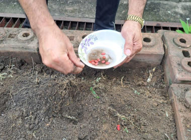 กิจกรรมวันรักต้นไม้ ประจำปีของชาต พ.ศ. 2568 พารามิเตอร์รูปภาพ 3