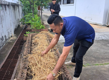 กิจกรรมวันรักต้นไม้ ประจำปีของชาต พ.ศ. 2568 พารามิเตอร์รูปภาพ 4