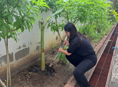 กิจกรรมวันรักต้นไม้ ประจำปีของชาต พ.ศ. 2568 พารามิเตอร์รูปภาพ 10