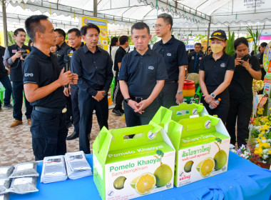 งานวันดินโลก จังหวัดสมุทรสงคราม ประจำปี 2568 พารามิเตอร์รูปภาพ 4