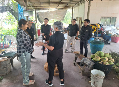 ร่วมหารือแนวทางเพื่อแก้ไขปัญหาราคามะพร้าวน้ำหอมราคาตกต่ำ พารามิเตอร์รูปภาพ 3