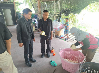 ร่วมหารือแนวทางเพื่อแก้ไขปัญหาราคามะพร้าวน้ำหอมราคาตกต่ำ พารามิเตอร์รูปภาพ 4