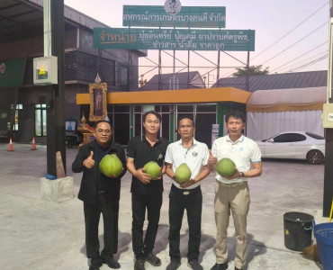 ร่วมกับสหกรณ์การเกษตร บางคนที จำกัด รวบรวมส้มโอพันธุ์ขาวใหญ่ พารามิเตอร์รูปภาพ 1