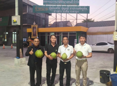 ร่วมกับสหกรณ์การเกษตร บางคนที จำกัด รวบรวมส้มโอพันธุ์ขาวใหญ่ พารามิเตอร์รูปภาพ 1