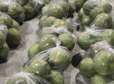 ร่วมกับสหกรณ์การเกษตร บางคนที จำกัด รวบรวมส้มโอพันธุ์ขาวใหญ่ พารามิเตอร์รูปภาพ 2