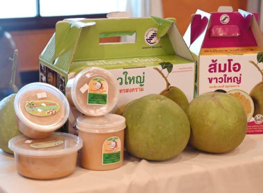 ร่วมโครงการประชุมเชิงปฏิบัติการเพิ่มศักยภาพการเชื่อมโยงเครือข่ายสินค้า ... พารามิเตอร์รูปภาพ 2